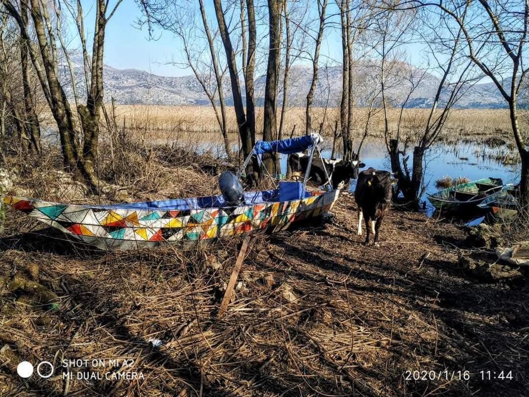 Holiday Home Haustor With Skadar Lake View Podgorica Exterior foto