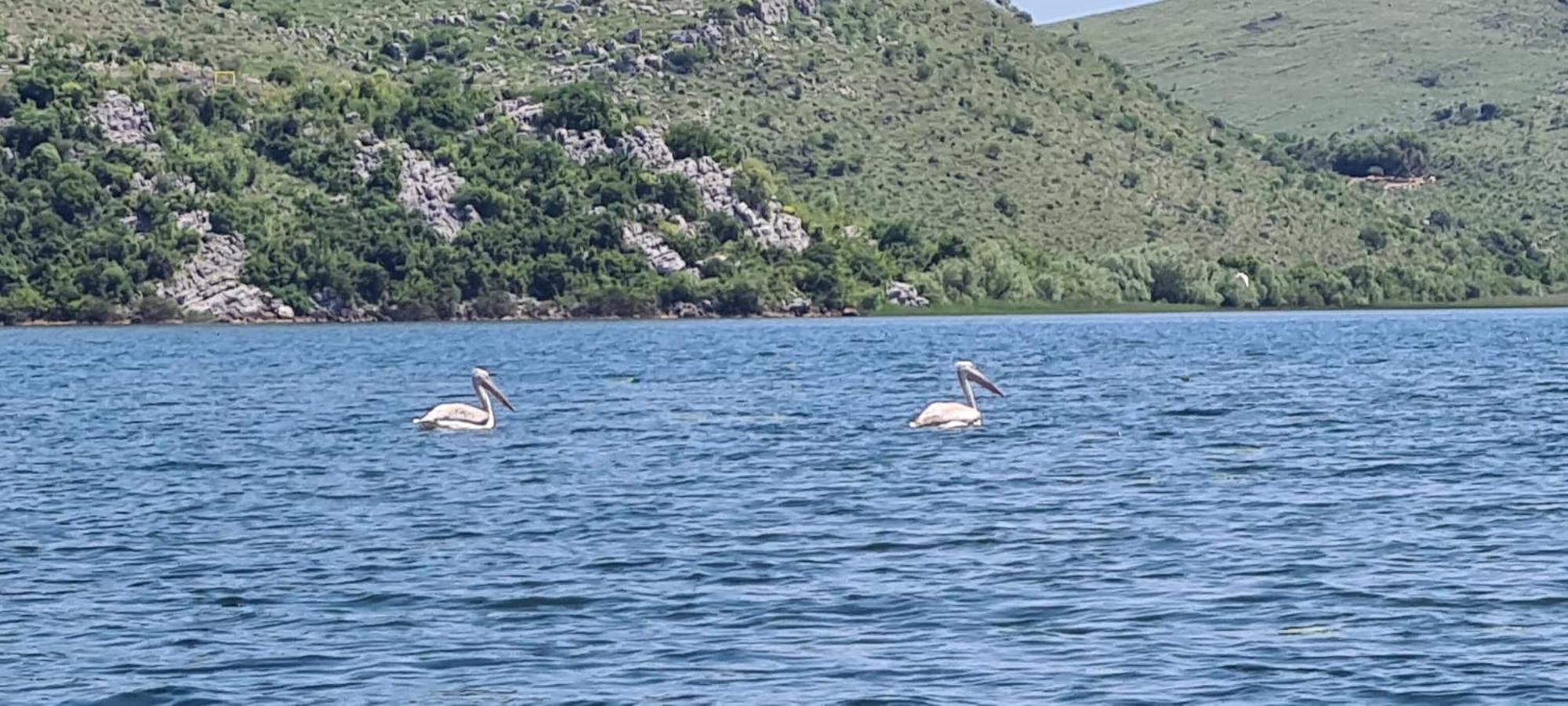 Holiday Home Haustor With Skadar Lake View Podgorica Exterior foto